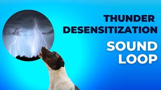 Thunderstorm Sounds for Dog Desensitization Short Gaps [upl. by Siuoleoj]