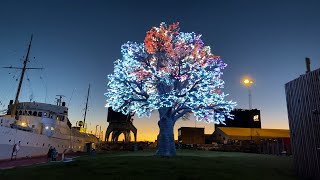 Oslo treet  Tree of Tenere  Burning man tree in 4K  The worlds most expensive tree [upl. by Cammie]