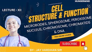 MICROBODIES SPHEROSOME PEROXISOME NUCLEUS CHROMOSOME CHROMATIDS DNA  hungermind [upl. by Philipp]