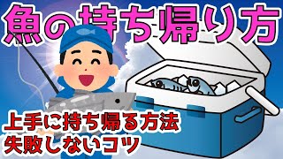 【魚の持ち帰り方】どう持ち帰る？知っておきたい３つのポイント [upl. by Walford]