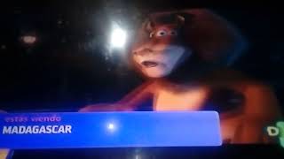 Madagascar Martin esta bailando en Discovery Kids [upl. by Ahsieni]