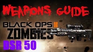 BO2 Zombies DSR 50  Dead Specimen Reactor 5000 Weapons Guide MultiPackaPunched [upl. by Yenruoc978]