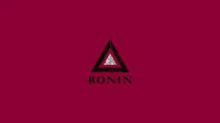 Rower Szosowy AUTHOR RONIN [upl. by Razid]