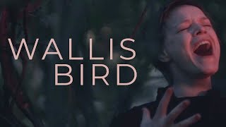 Wallis Bird  As The River Flows official [upl. by Assila]