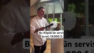 Bu Köpük’ün Servis Ücreti 13000 Dolarmış keşfet keşfetbeniöneçıkar youtubeshorts istanbul reel [upl. by Godewyn]