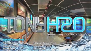 Tony H2O Gallery Tampa Underwater Photography by Tony Ludovico [upl. by Judah329]