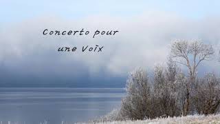 Concerto pour une Voix  Ocarina cover [upl. by Ymassej]