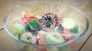 How to make a salad from possessed vegetables [upl. by Heyra]