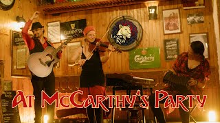 At McCarthys Party  polkas by Leoin Rua [upl. by Senzer105]