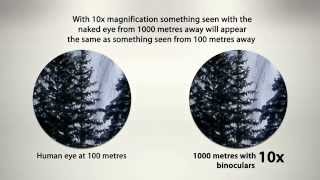 Canon Image Stabilizer Binoculars YouTube [upl. by Novah]