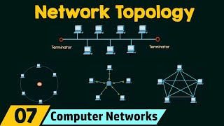 Network Topology [upl. by Ebenezer380]