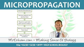 Cloning Plants  Micropropagation tissue culture  GCSE Biology 91 [upl. by Payson693]