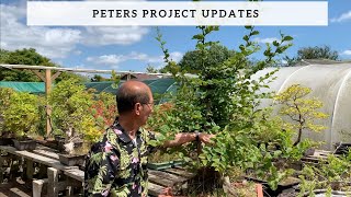 Peters Project Updates [upl. by Lednic795]