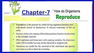 How do organisms reproduce Class 10 Biology support materialbased on latest syllabus 202324 [upl. by Allecnirp]