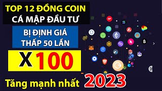 TOP 12 đồng COIN GIÁ RẺ tiềm năng TĂNG TRƯỜNG MẠNH NHẤT 2023 quotVỪA LIST LÊN SÀNquot Biance [upl. by Eittol449]