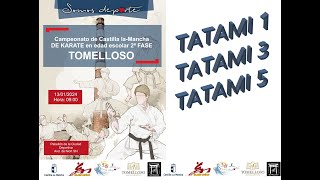 2ª FASE ESCOLAR KARATE CLM Tatamis 135 [upl. by Hpeosj]