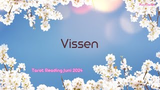 Vissen  Deze Persoon Is Zeer Slim Maar juni tarot 2024 [upl. by Zita513]