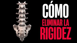 3 EJERCICIOS SEGUROS PARA LA RIGIDEZ LUMBAR ✅ [upl. by Anilad]