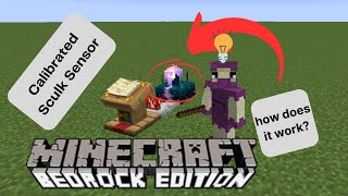 The SECRET Story of the CALIBRATED SCULK SENSOR  Minecraft 120 [upl. by Laamak]