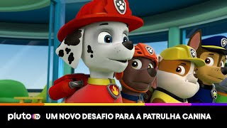 A Galinheta desapareceu E Agora  Patrulha Canina  PLUTO TV [upl. by Zea]