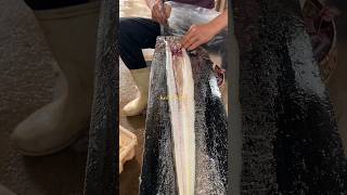 Awesome conger eel cutting [upl. by Eedrahs]