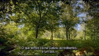 Galicia and Druidry interview  Galiza e a Druidaria entrevista [upl. by Raffo]