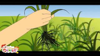 Parts of Plant Lesson 1 KidsClass 4Class 5Grade 4Grade 5Students [upl. by Sito]