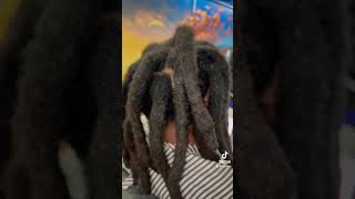 wicks hair locs hairstyles explorepage dreadlocks floridastylist atlanta charolettenc [upl. by Oal112]