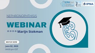 ERKNet Webinar  Nephronophthisis by Marijn Stokman [upl. by Faydra]