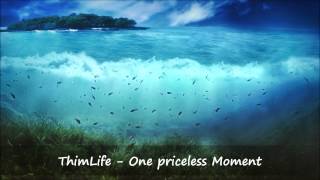 ThimLife  One priceless Moment [upl. by Seen594]