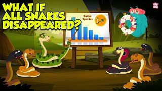 What If All Snakes Disappeared  The Importance of Snakes in the Ecosystem  The Dr Binocs Show [upl. by Adyam15]