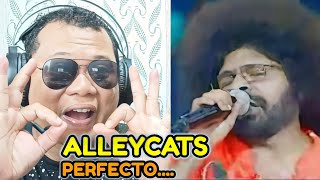 🇮🇩REACTION ALLEYCATS  ANDAINYA AKU PERGI DULU  PERFECTO [upl. by Diad]