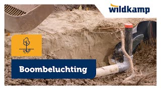 Boombeluchting project gemeente Groningen [upl. by Adnilec]