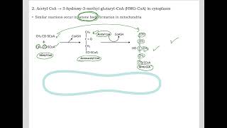 516 Understand not memorize metabolism Postprandial Cholesterol synthesis [upl. by Nnyrat]