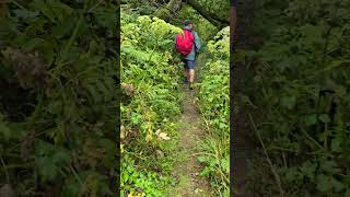 Walking to Roncesvalles Spain up and over the Pyrenees 285km177mi September 12 2024 [upl. by Annoit]