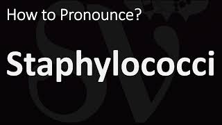 How to Pronounce Staphylococci CORRECTLY [upl. by Rbma]