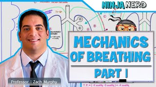 Respiratory  Mechanics of Breathing Pressure Changes  Part 1 [upl. by Melville]