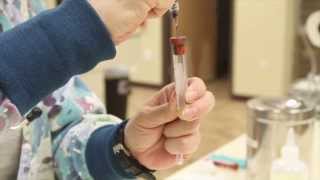 Basic Blood Collection  Veterinary Technician Training [upl. by Dodge]