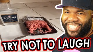 The Funniest videos of the Week NemRaps Try Not To laugh 384 [upl. by Eeladnerb]