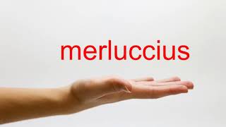 How to Pronounce merluccius  American English [upl. by Rhines523]