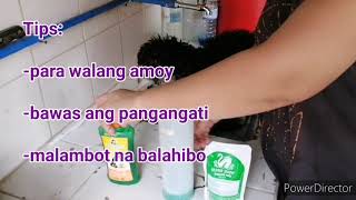 Tips para always mabango ang inyong aso [upl. by Cahra]