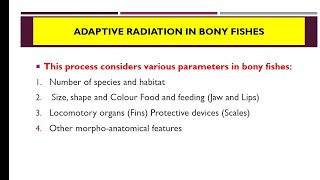 Adaptive Radiation in Bony Fishes Biology of chordates By Kusum Chaudhary [upl. by Randy444]