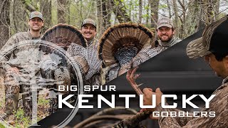 Turkey Hunting A WILD Kentucky Turkey Season Opener [upl. by Fisher555]