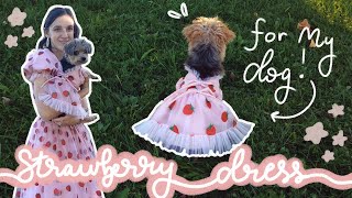 Making The Strawberry Dress For My Dog  DIY [upl. by Lemaj]