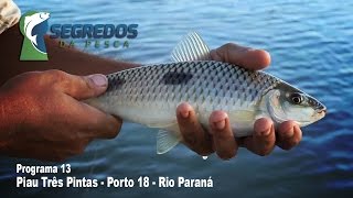 PIAU TRÊS PINTAS  PORTO 18  SEGREDOS DA PESCA [upl. by Onaivlis180]