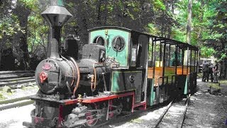 Feldbahn Museum 500 Nürnberg 3152014 [upl. by Elleinaj917]