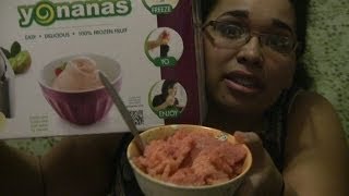 Review Yonanas Frozen Dessert Maker [upl. by Kabab]