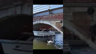 Boat crashes into wroxham bridge 😮😮😮 [upl. by Enajiram]