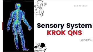 Solving Sensory system Krok questions  Physiology Class12 [upl. by Balough]