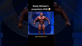 roelly winklaar best shape shorts fitness gym workout bodybuilding [upl. by Powe]